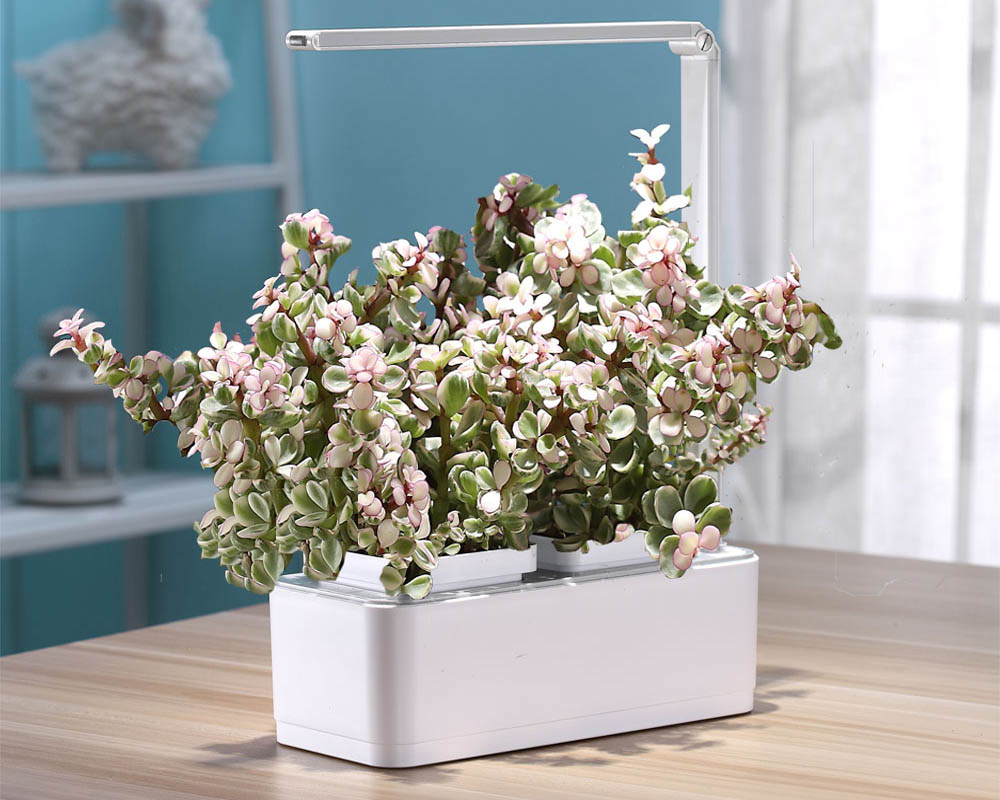 MT1300 Smart tabletop Garden